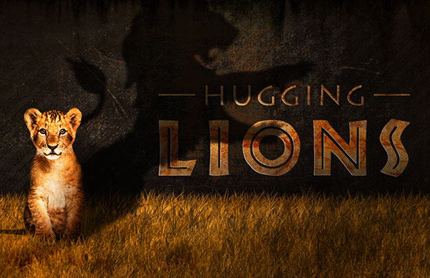 Hugging Lions
