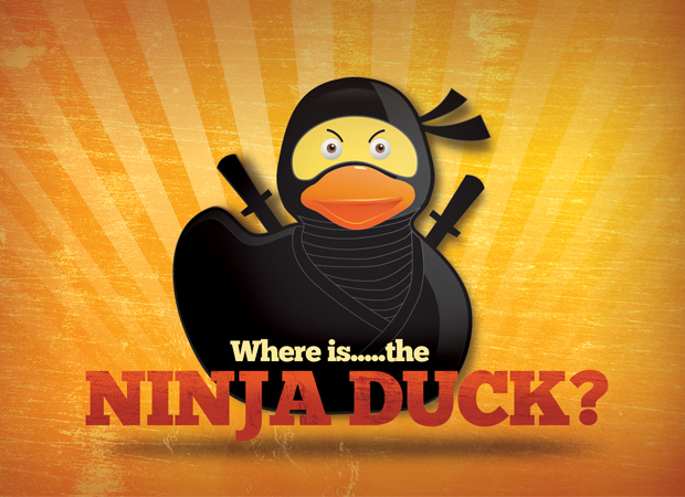 The Ninja Duck
